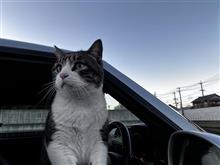 非日常系快速遊具
