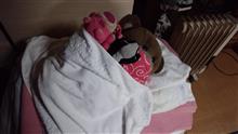 今年最後の熊婆ルームにて････