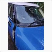 気合い入れた洗車しました