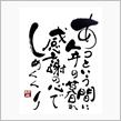 今年最後も…( ⸝⸝⸝  ̫⸝⸝⸝)◦♡︎