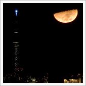 昨晩のお月様