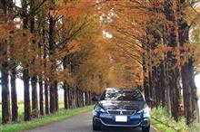 『年末詣』がお気に入り
