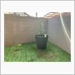 ENGEI 2022  Olive tree