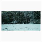 積雪