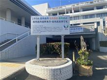 よ～やくだわ
