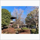 初詣で鑁阿寺に来ました。