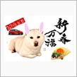 謹賀新年