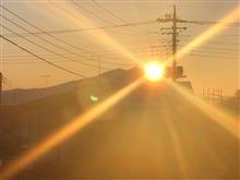 2023年が始まったよ