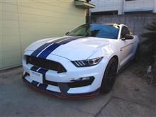 フォードの神様は初春に微笑む・・すぐご近所にGT350が😲
