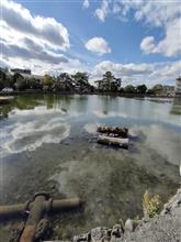 3日の奈良の風景と腹？
