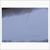 １月４日　年末年始休暇も最終 ...