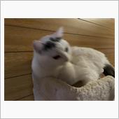 仕事はじめ
