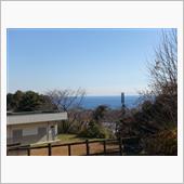新年の散歩記録(^^♪