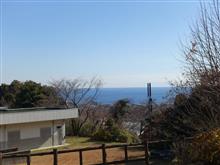 新年の散歩記録(^^♪
