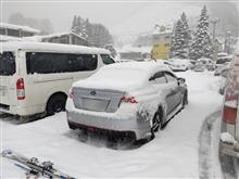 年始はスキー三昧と洗車(笑)