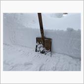 雪やこんこ