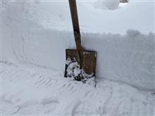 雪やこんこ