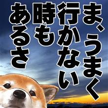 暗いよ～！