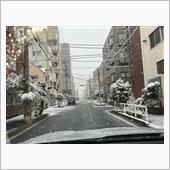 昨年は新年早々に雪だったんだ ...
