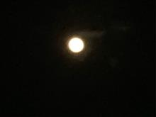 １０７「狼月」✨ウルフムーン🌝✨