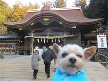 お正月④復路