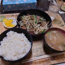 今日のランチは