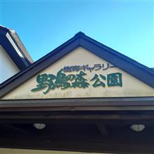 西湖 野鳥の森公園