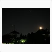 おみくじが凶...ビックリす ...