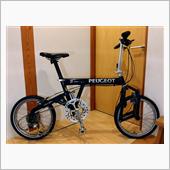 PEUGEOT pacifi ...
