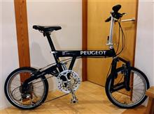 PEUGEOT pacific18