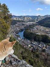 TWO＋ワン🦮山歩きはじめ💦〜遠見山