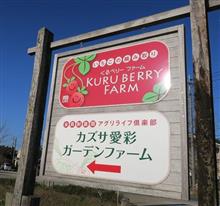 関東クルーズ恒例の新春イチゴ狩りツーリングに参加