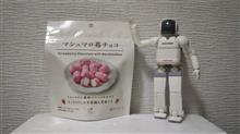 今日のおやつ№636 正栄デリシィ マシュマロ苺チョコ 24g 今日のおやつ№636 正栄デリシィ マシュマロ苺チョコ 24g