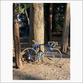 自転車散歩（SLX NEW）