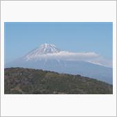 静岡で新年会