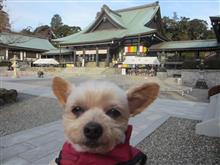 お正月③復路