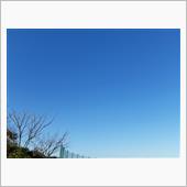 公園散歩中に見た青空