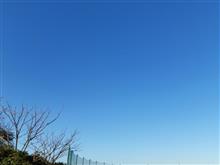 公園散歩中に見た青空