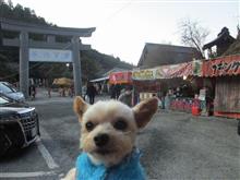 初詣屋台に寄って来ました