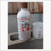 ブルーベリー栽培　ミズキカタ ...