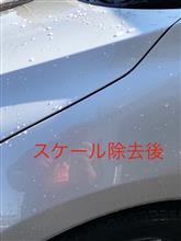 越冬用Wax Gray Glassyの劣化?→重ね掛け。 越冬用Wax Gray Glassyの劣化?→重ね掛け。