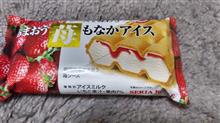 久しぶりのアイス