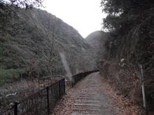 コレも某氏の・・・・・