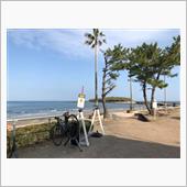 青島まで　2023/01/21