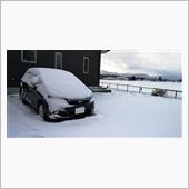 一ヶ月ぶりの雪かき!