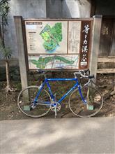 自転車散歩（SLX NEW 駒沢公園 等々力渓谷）