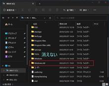 10日立っても消えない Windows.old