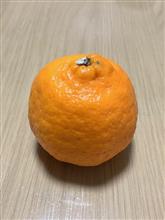 長く乗れる軽自動車