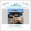 祝・みんカラ歴7年！