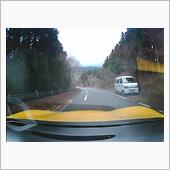 落ち葉だらけの道